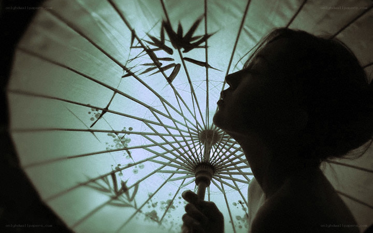 Silhouette under paper umbrella