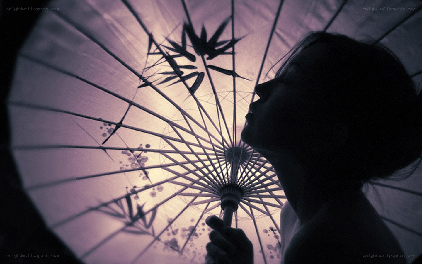 Silhouette under paper umbrella