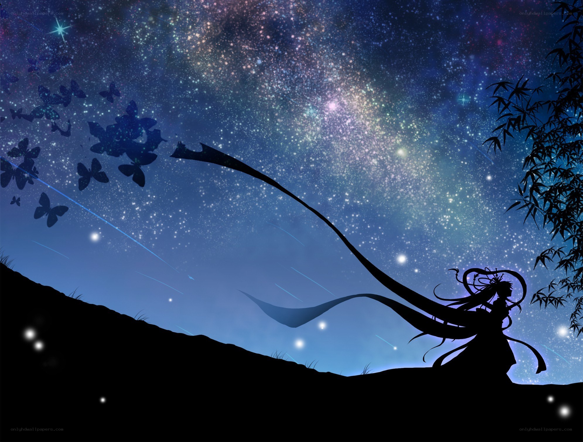 Silhouette under starry sky