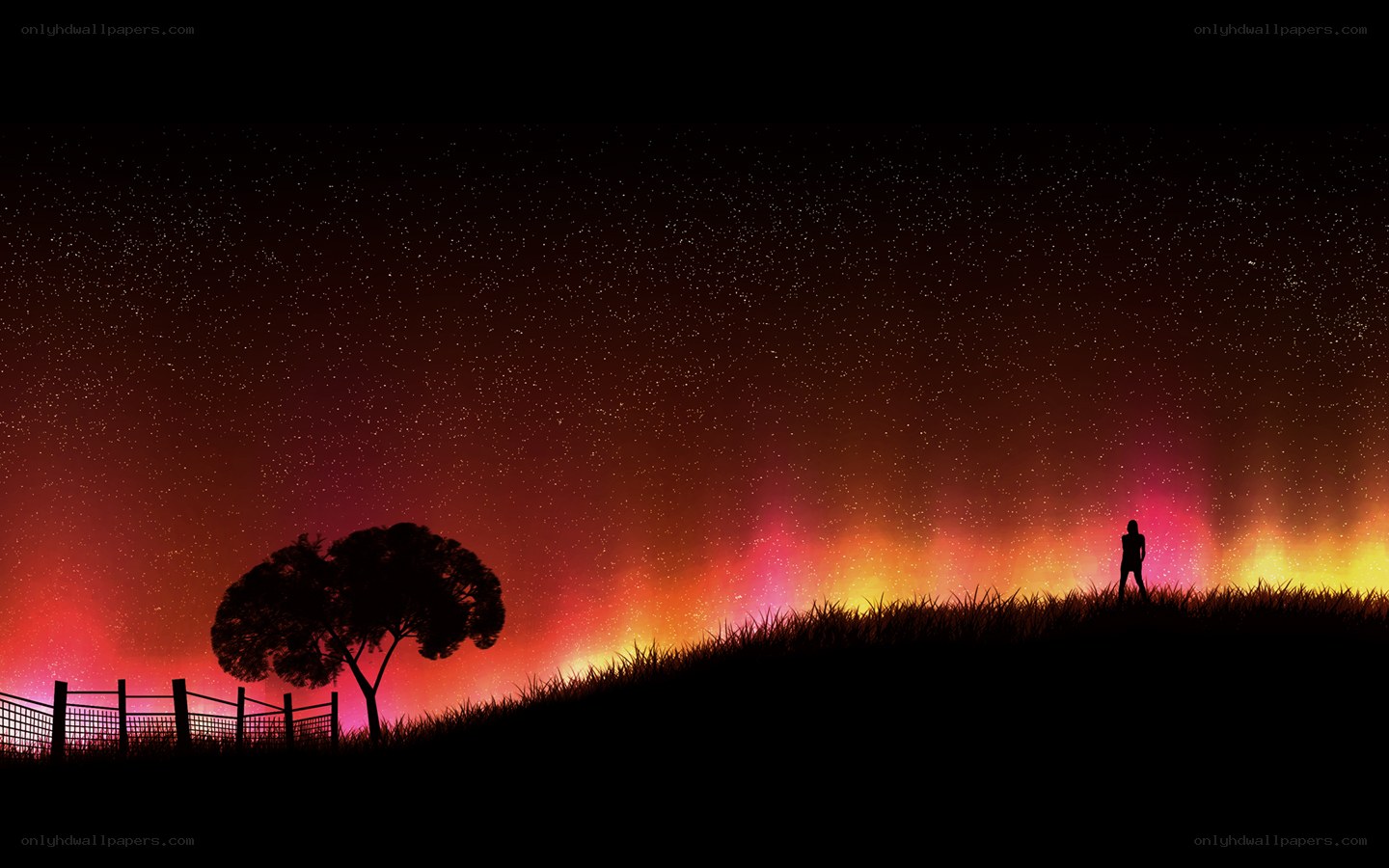 Silhouette under starry sky