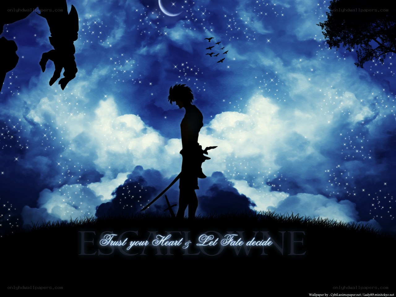 Silhouette under starry sky