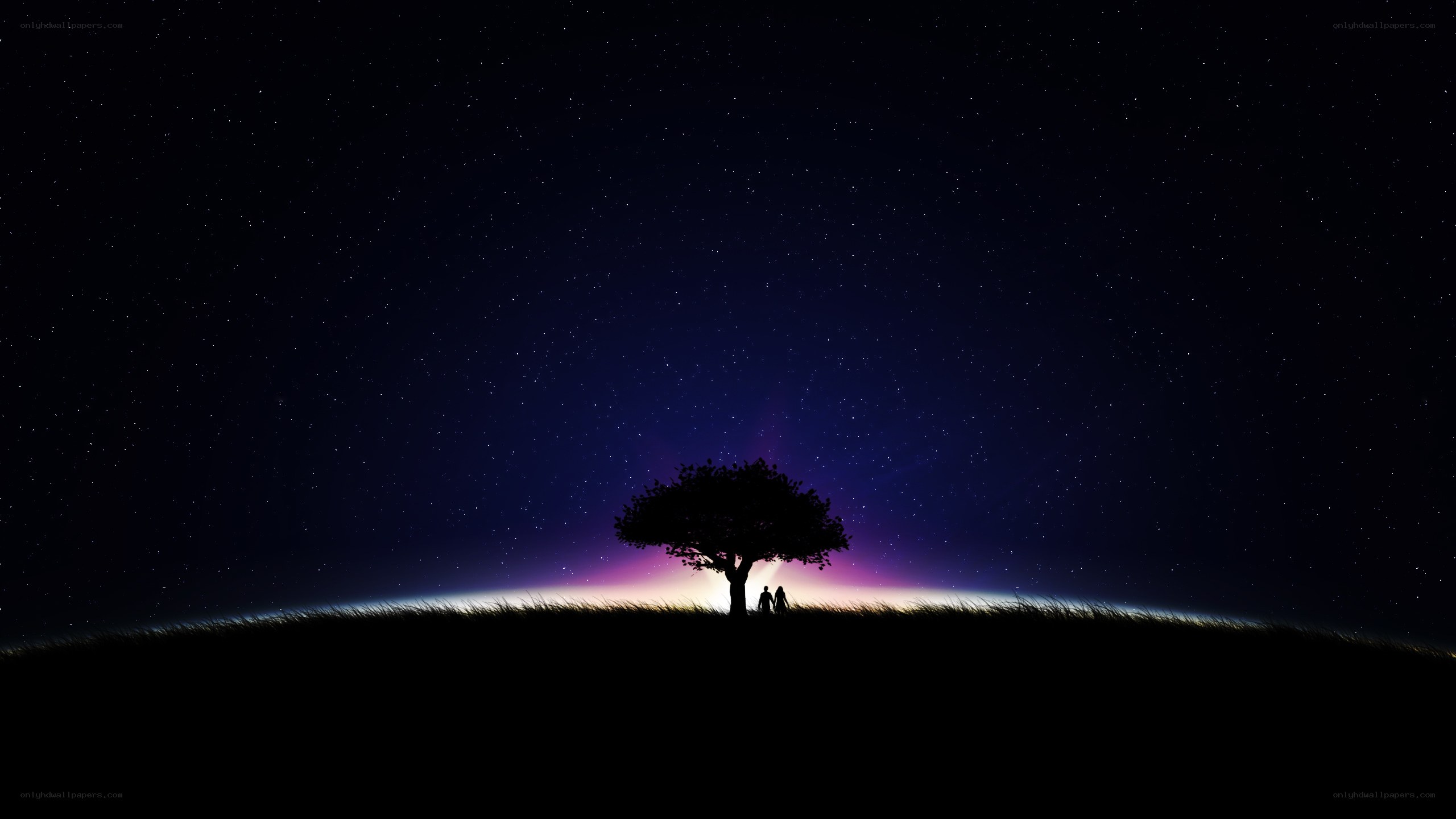 Silhouette under starry sky