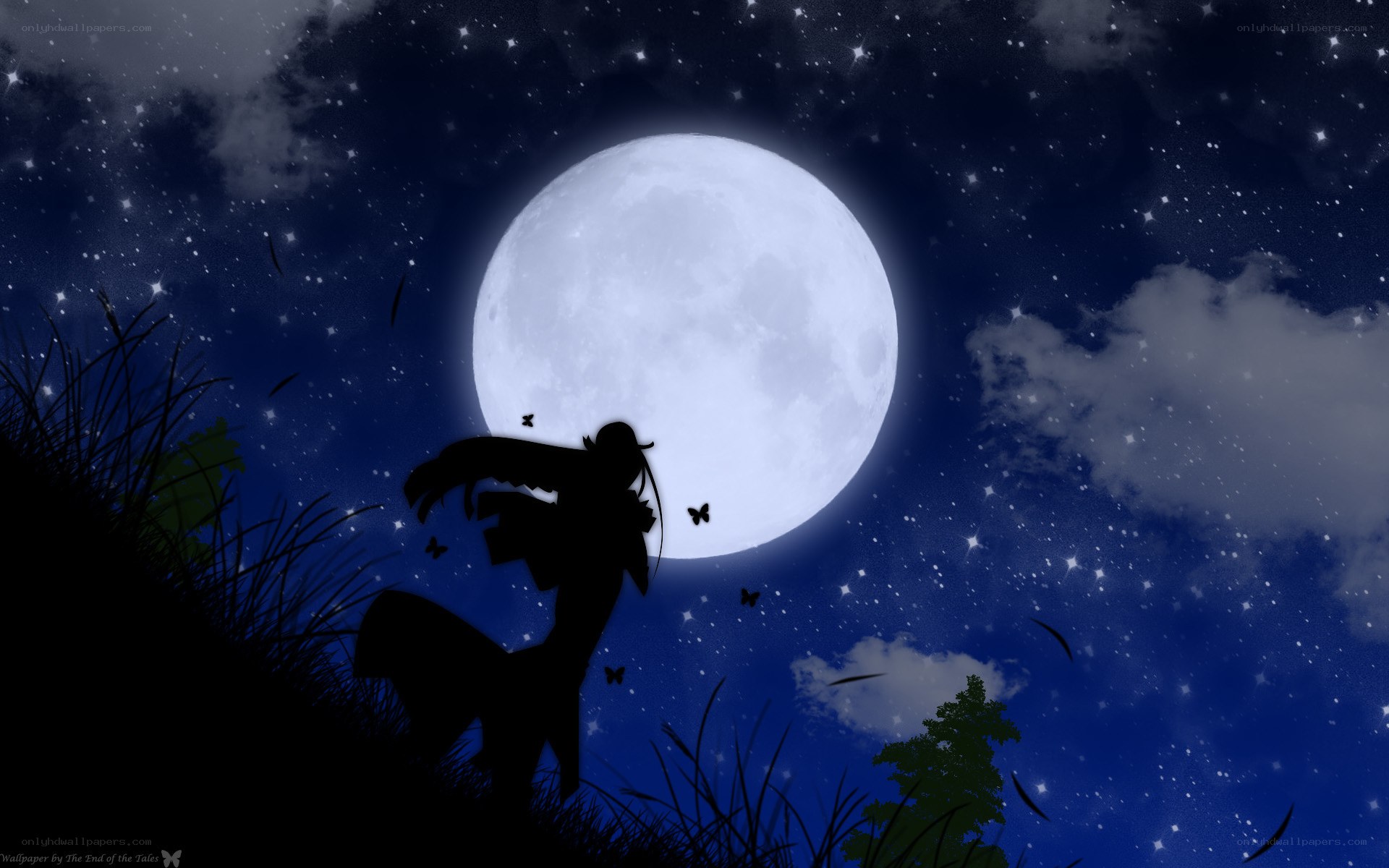 Silhouette under the full moon