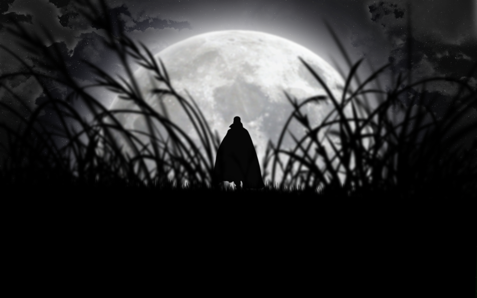 Silhouette under the full moon