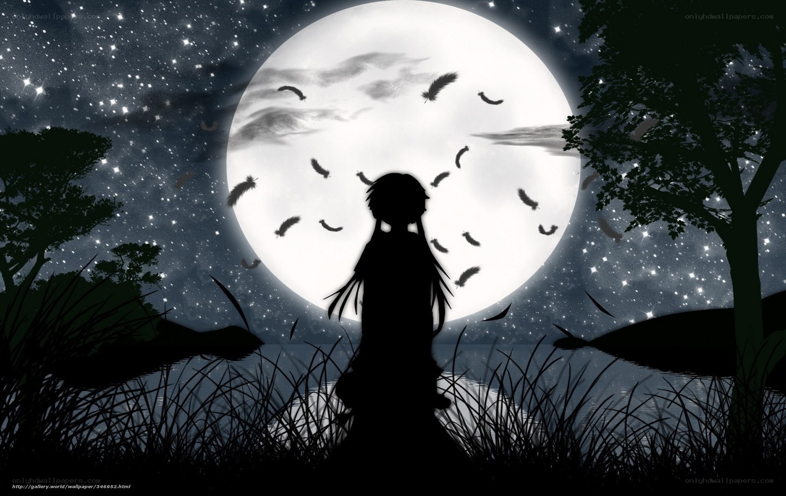 Silhouette under the full moon