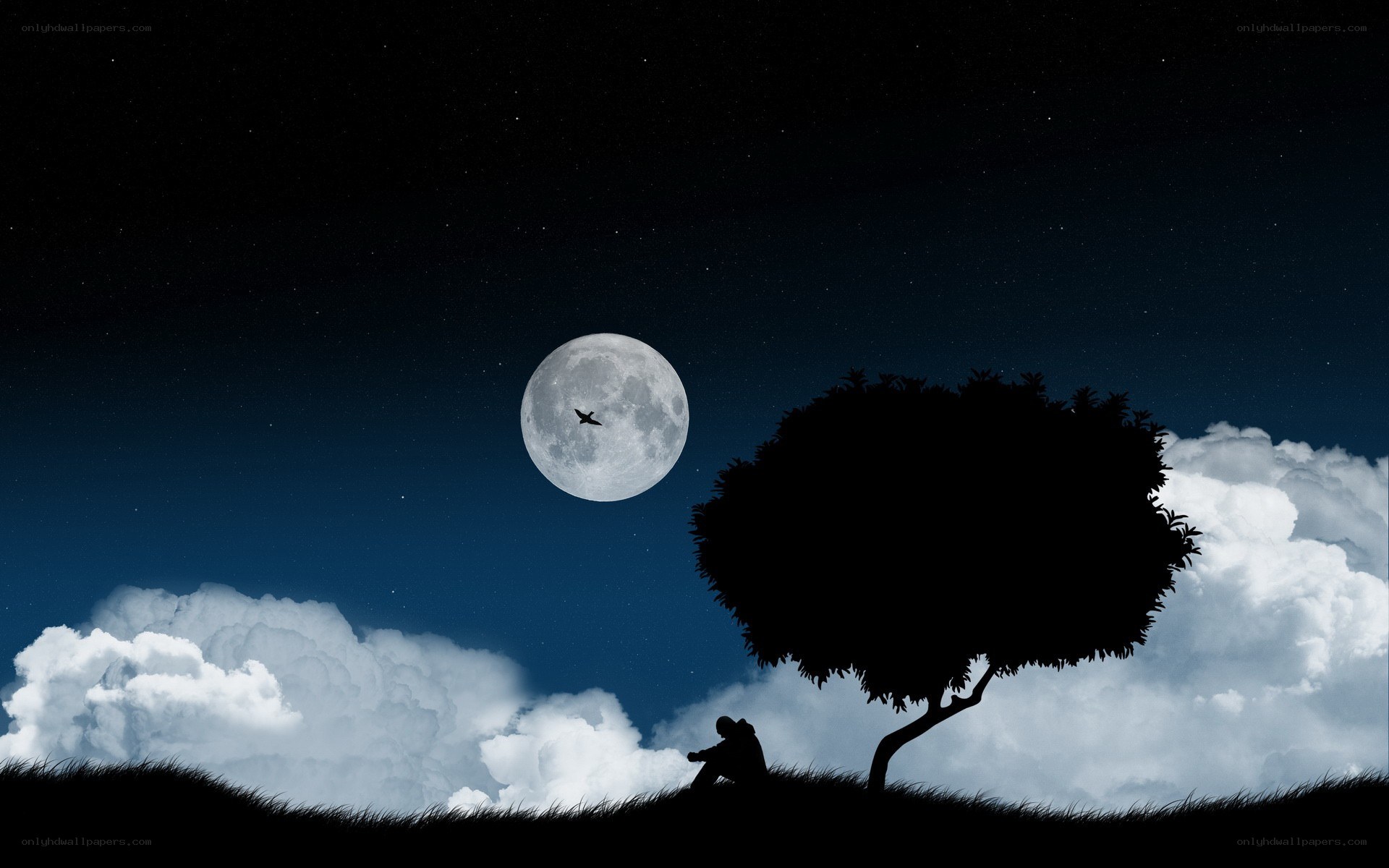 Silhouette under the moon