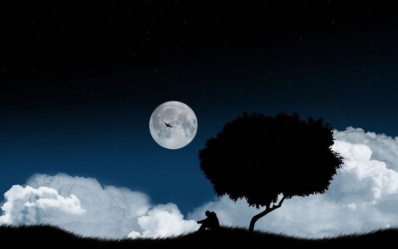Silhouette under the moon