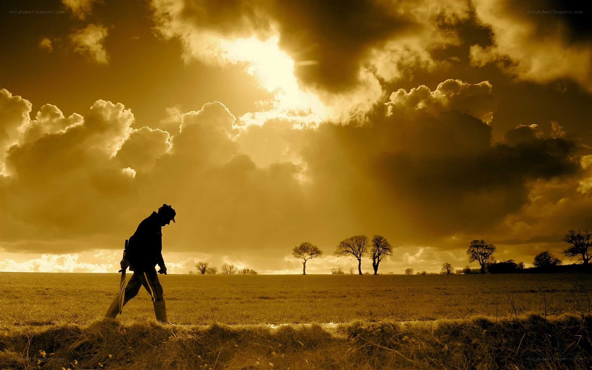 Silhouette walking in a field