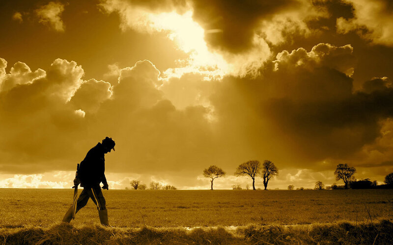 Silhouette walking in a field