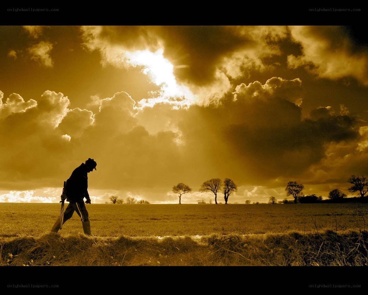 Silhouette walking in a field