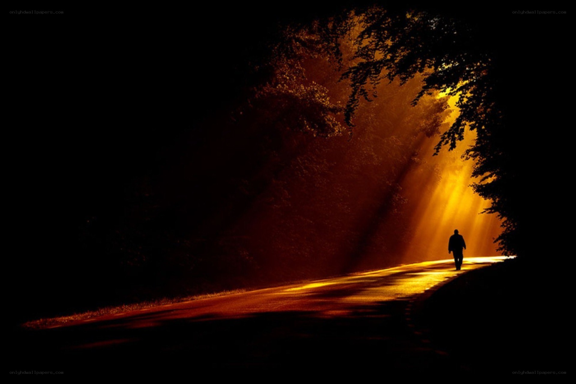 Silhouette walking on a road