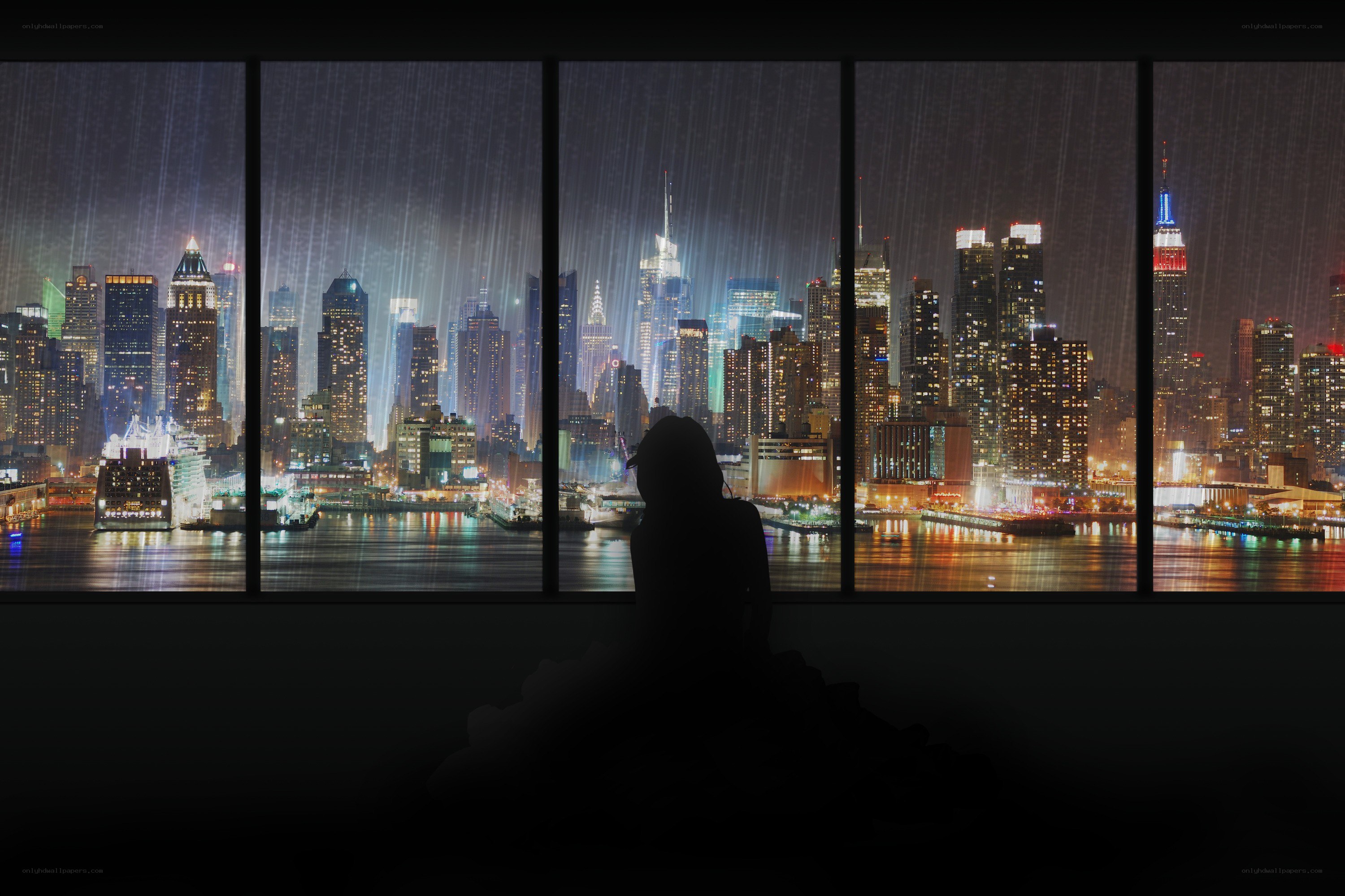 Silhouette watching city at night