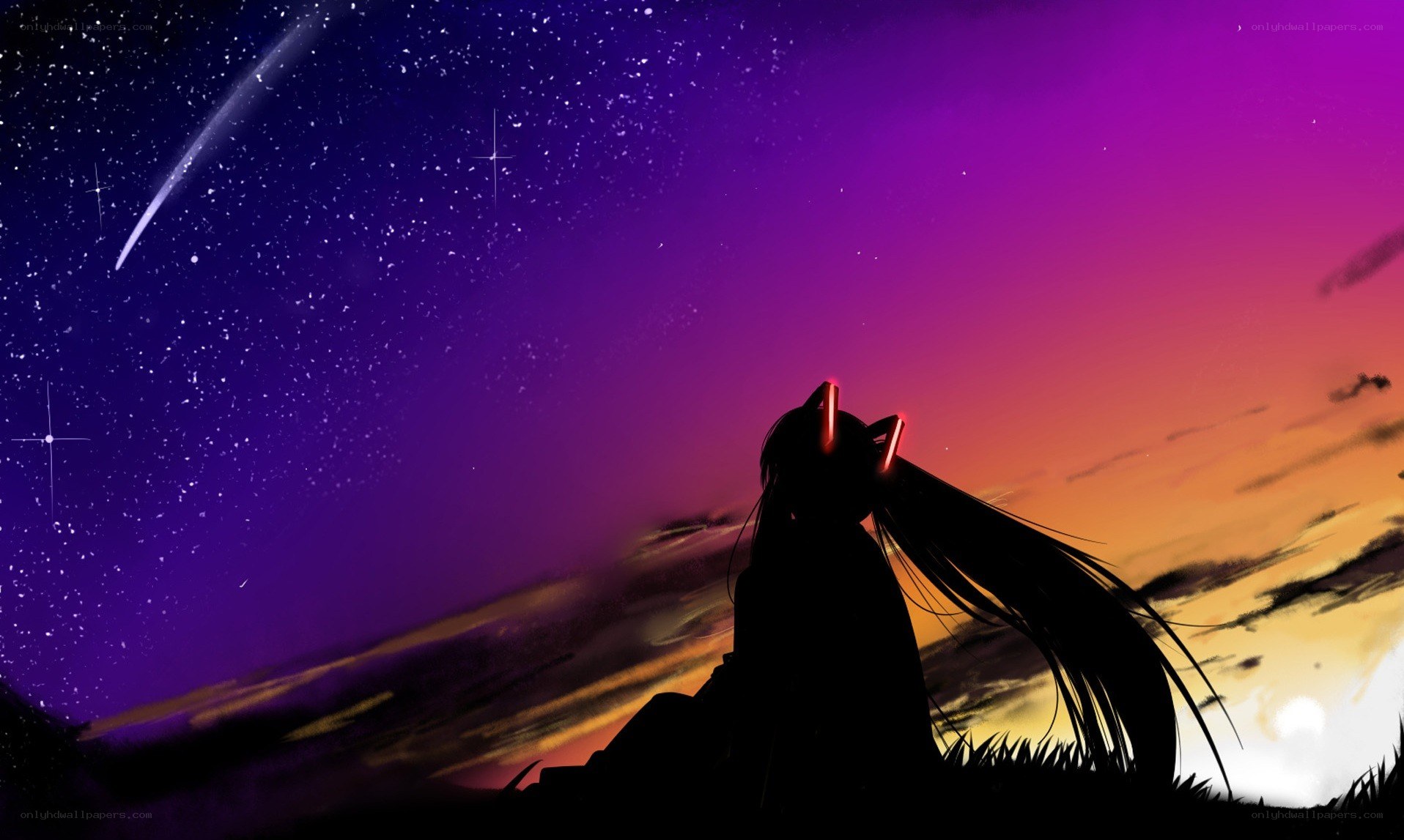 silhouette watching meteor shower