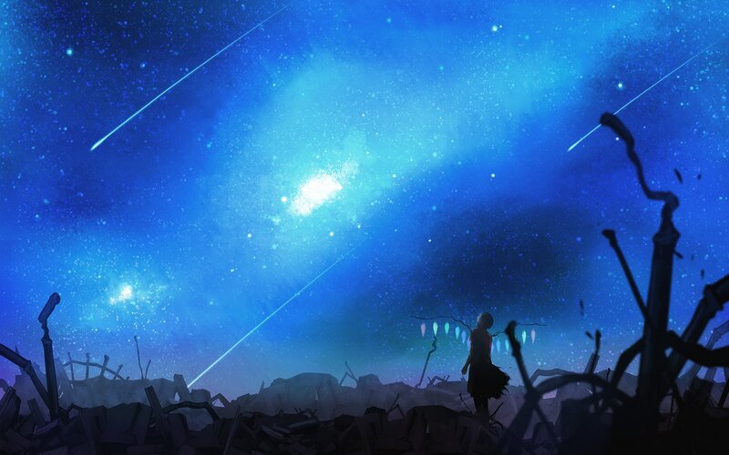 Silhouette watching meteor shower