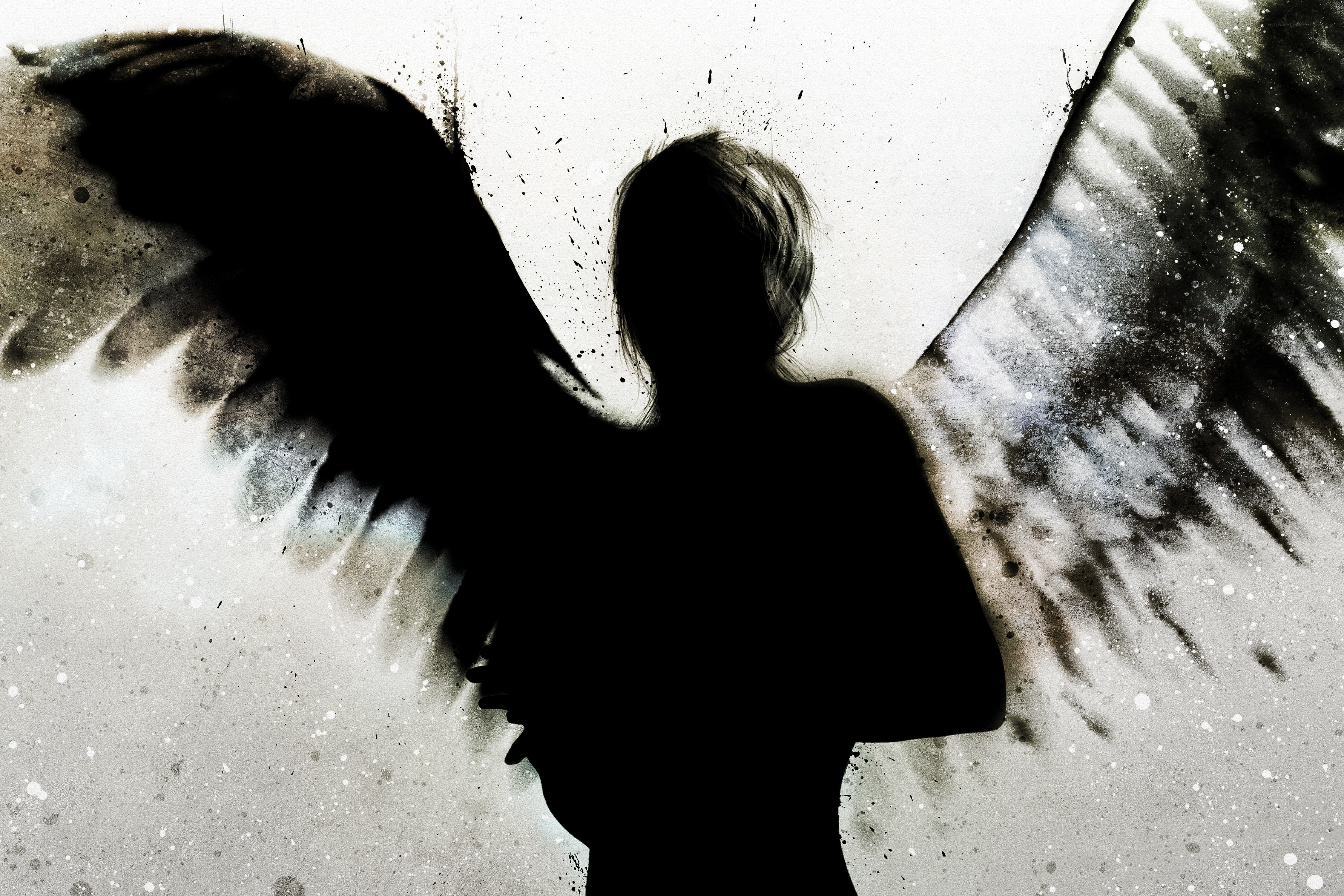 silhouette with angel wings