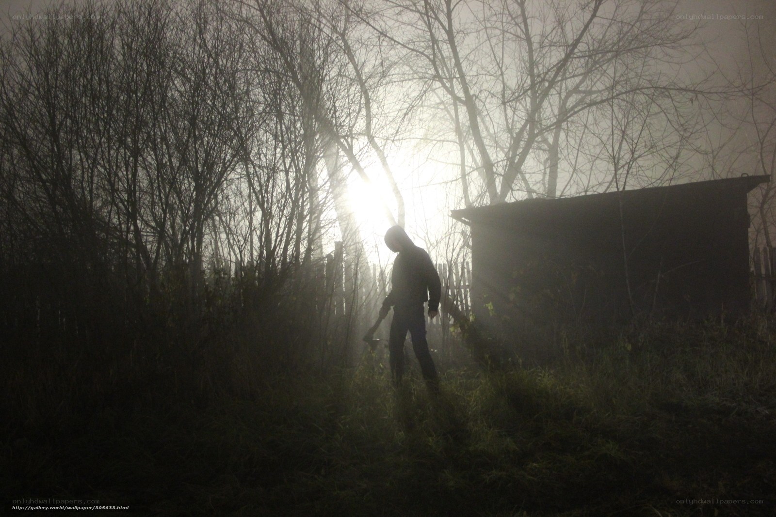 Silhouette with Axe in Fog