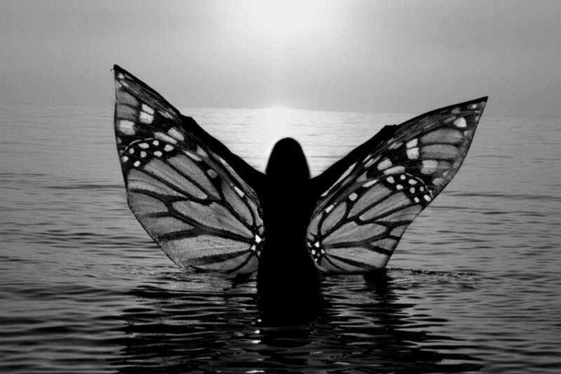 Silhouette with Butterfly Wings — Black, Serene