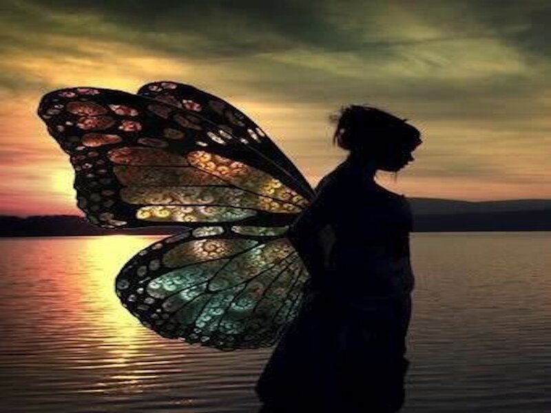 Silhouette with Butterfly Wings — Orange