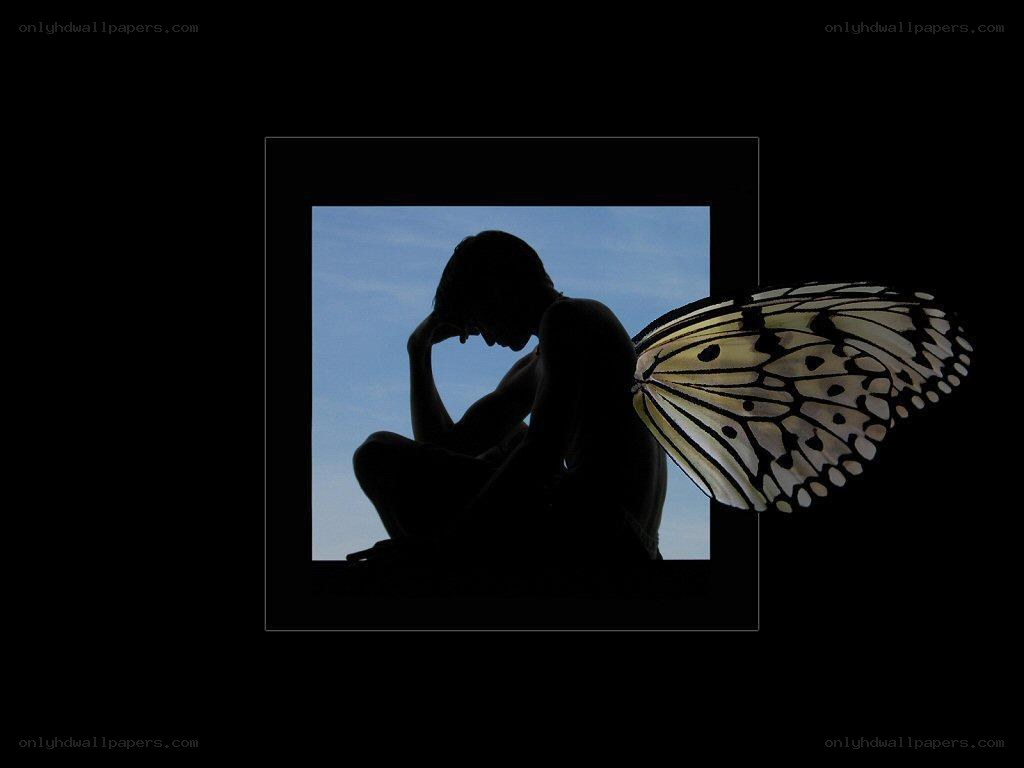 silhouette with butterfly wings
