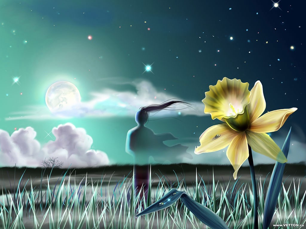 Silhouette with daffodil at night