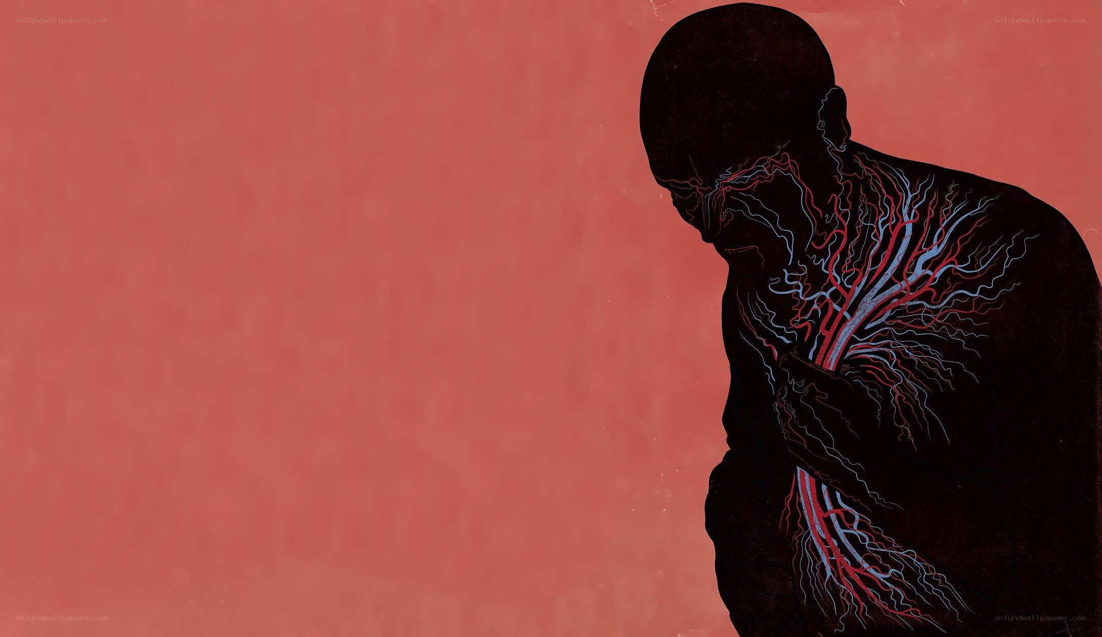 silhouette with internal veins