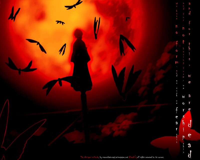 Silhouette with red sky