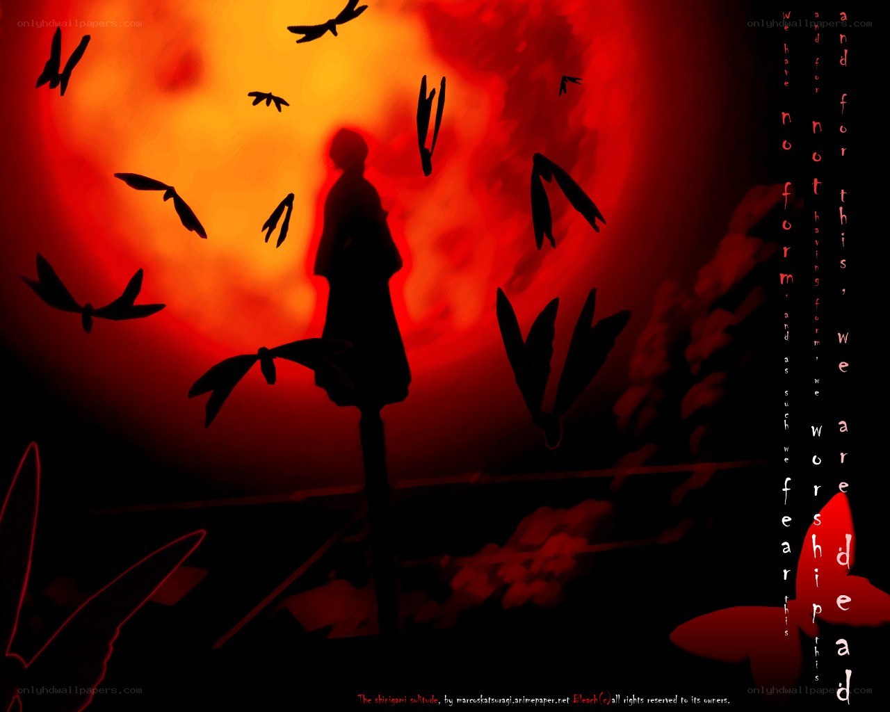 Silhouette with red sky