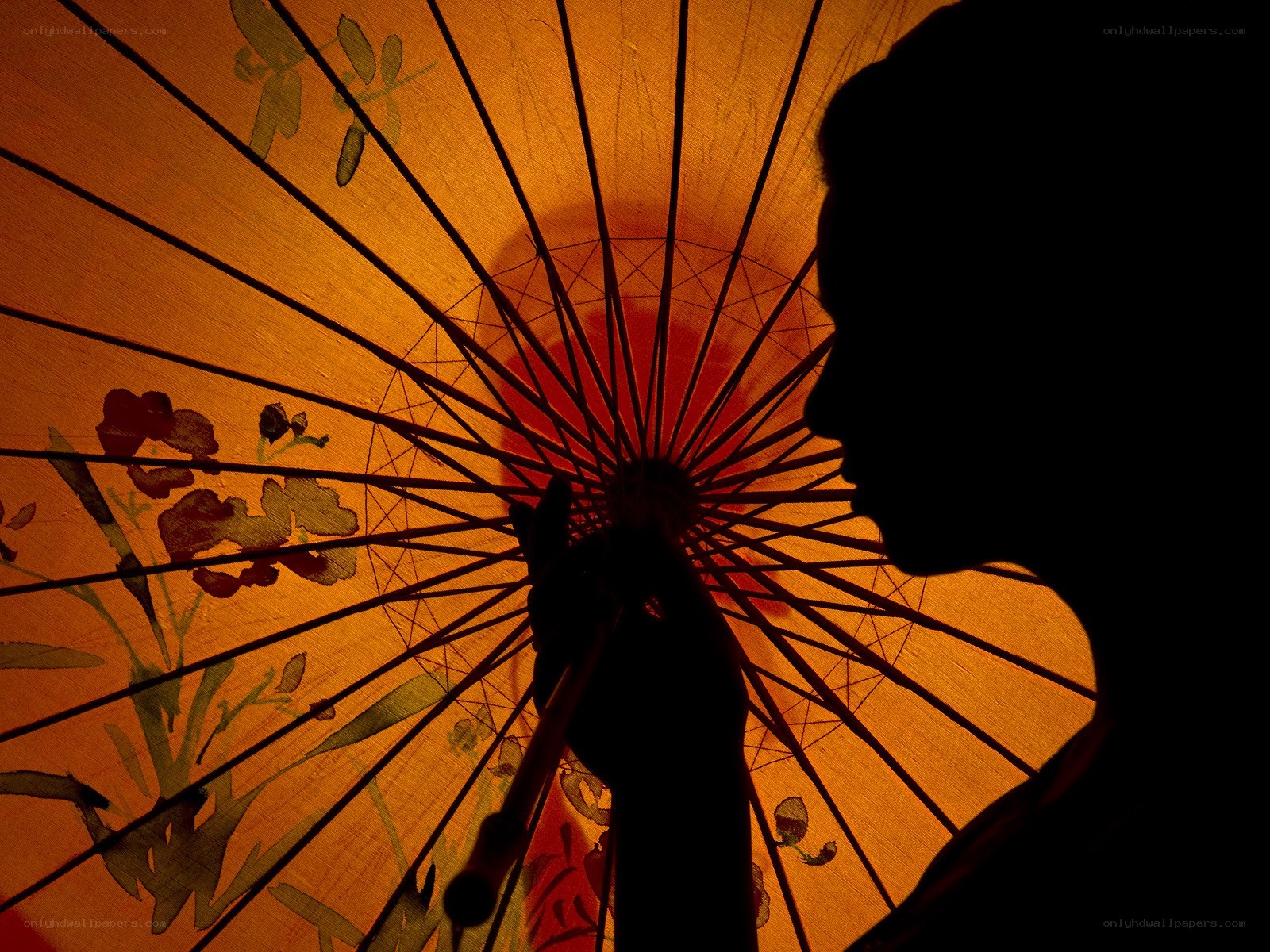 silhouette with traditional umbrella