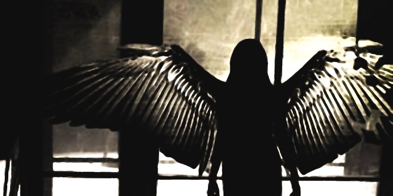 Silhouette with Wings — Black
