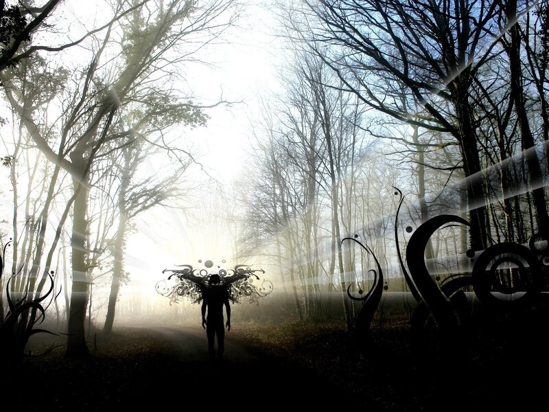 Silhouette with Wings in Forest