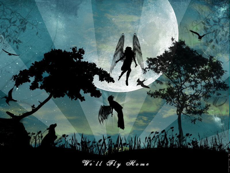 Silhouetted Angels Flying