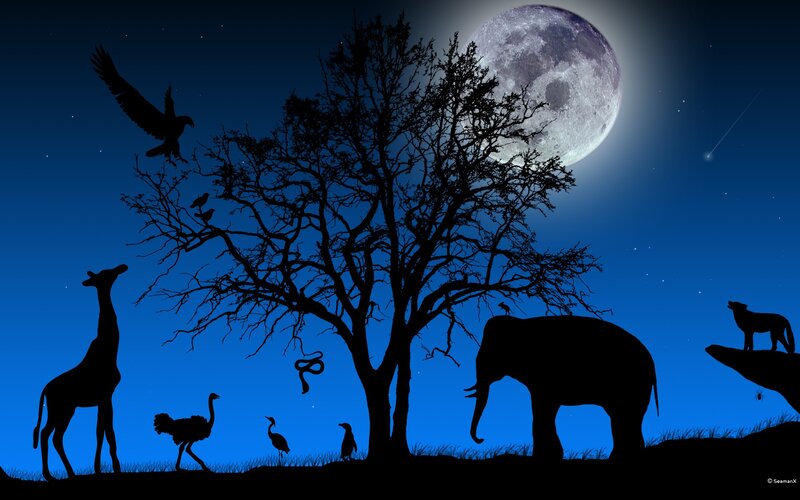 Silhouetted Animals at Night — Blue