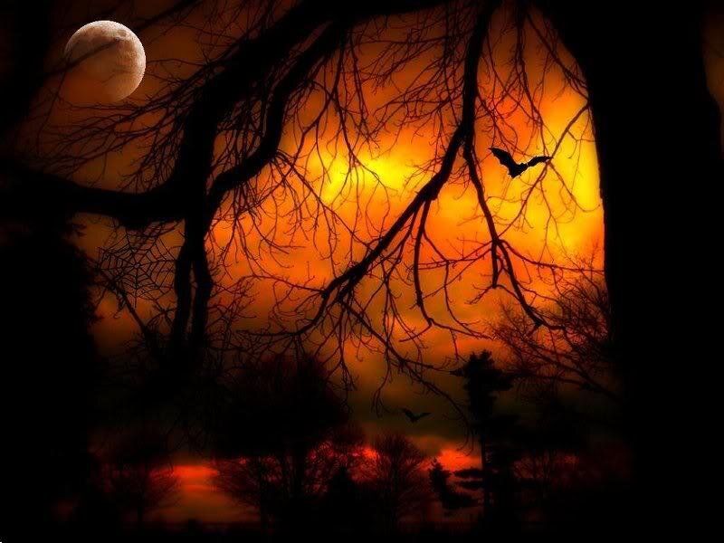Silhouetted Bats at Dusk