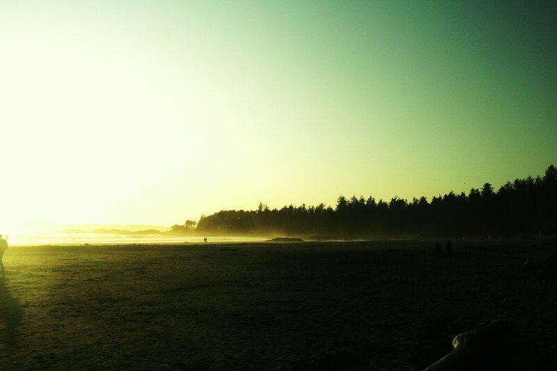 Silhouetted Beach at Sunset — Green