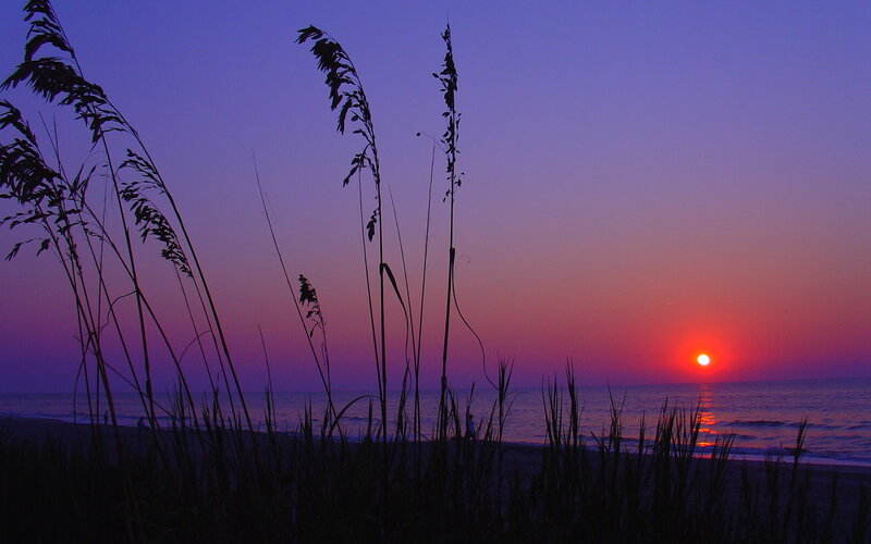 Silhouetted Beach Grass — Purple
