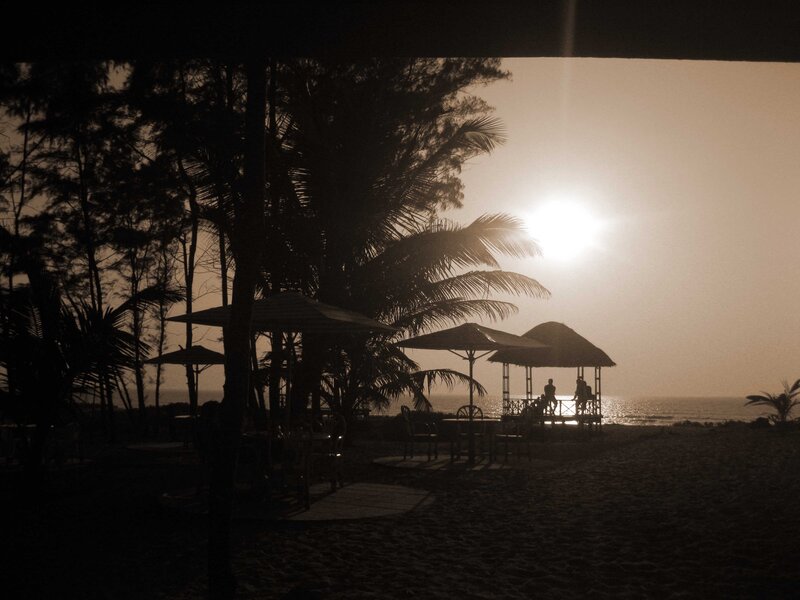 Silhouetted Beach Umbrellas — Brown