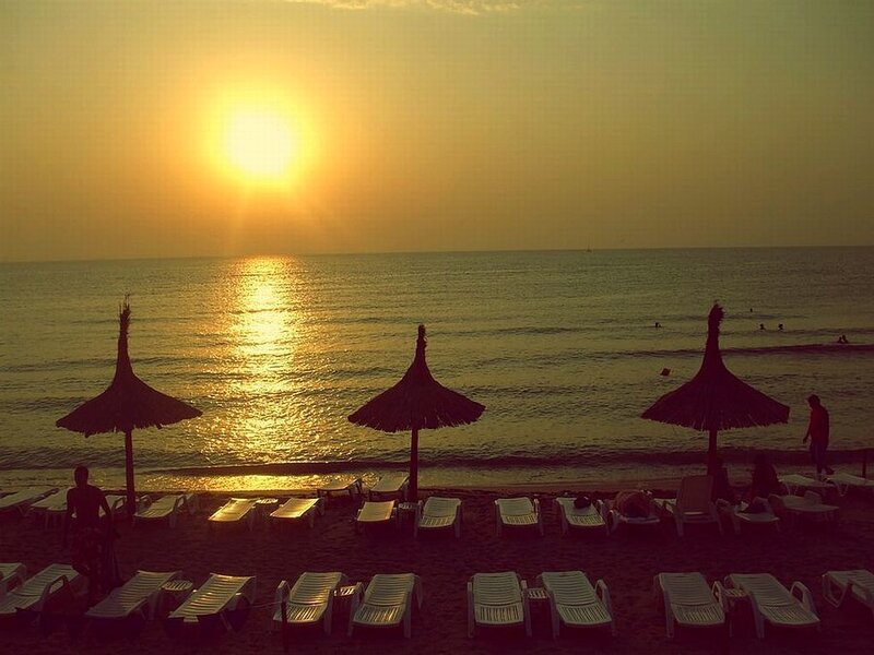 Silhouetted Beach Umbrellas