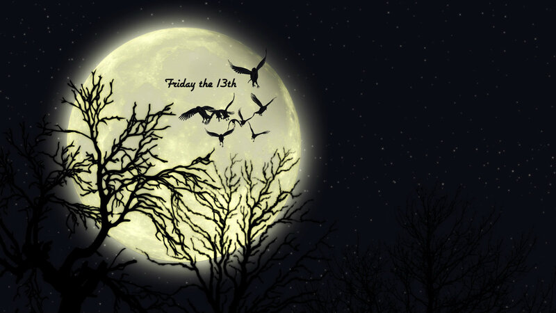 Silhouetted Birds and Moon