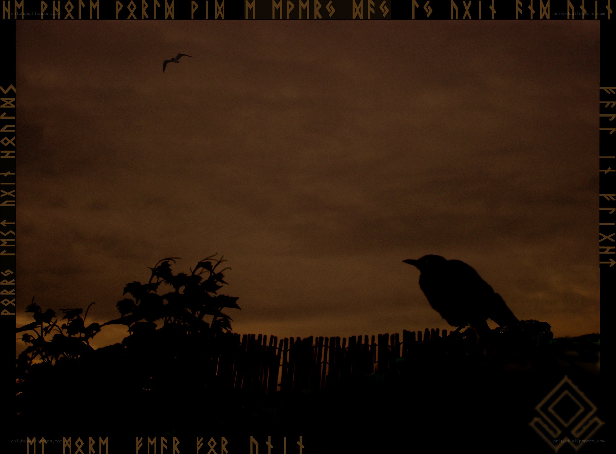 Silhouetted birds at dusk