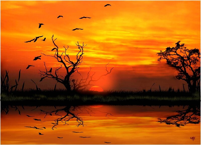 Silhouetted Birds at Sunset — Orange