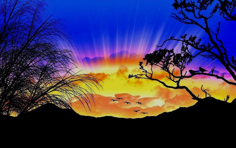 Silhouetted Birds at Sunset