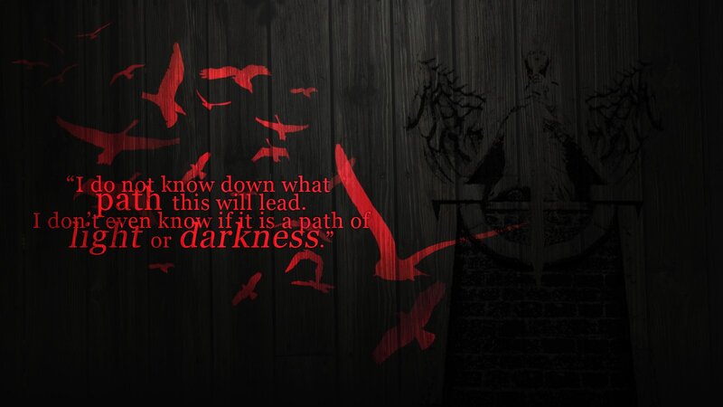 Silhouetted Birds Flying — Black, Dark