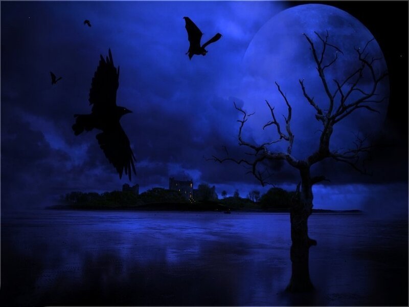 Silhouetted Birds Flying — Blue, Dark
