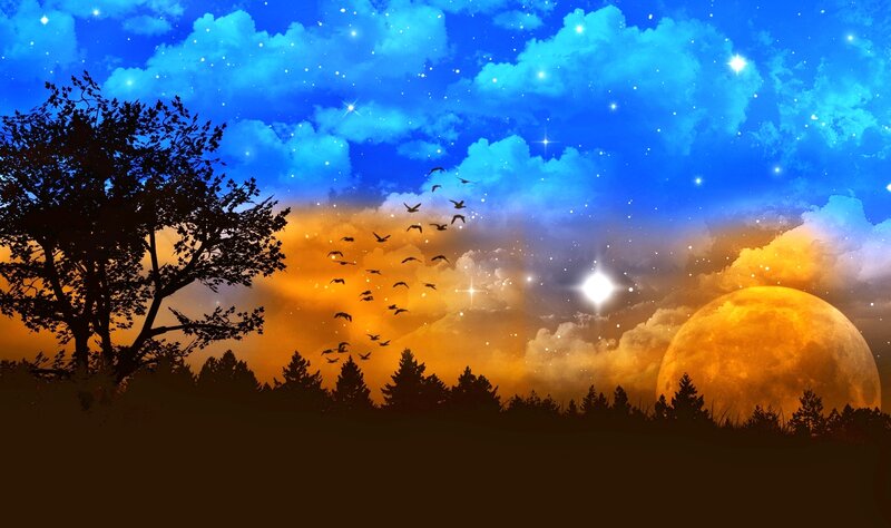 Silhouetted Birds Flying — Blue, Dramatic, Night