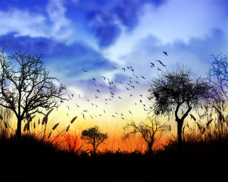 Silhouetted Birds Flying — Blue, Dramatic, Sunset