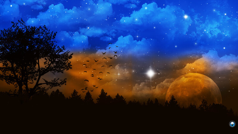 Silhouetted Birds Flying — Blue, Serene, Night