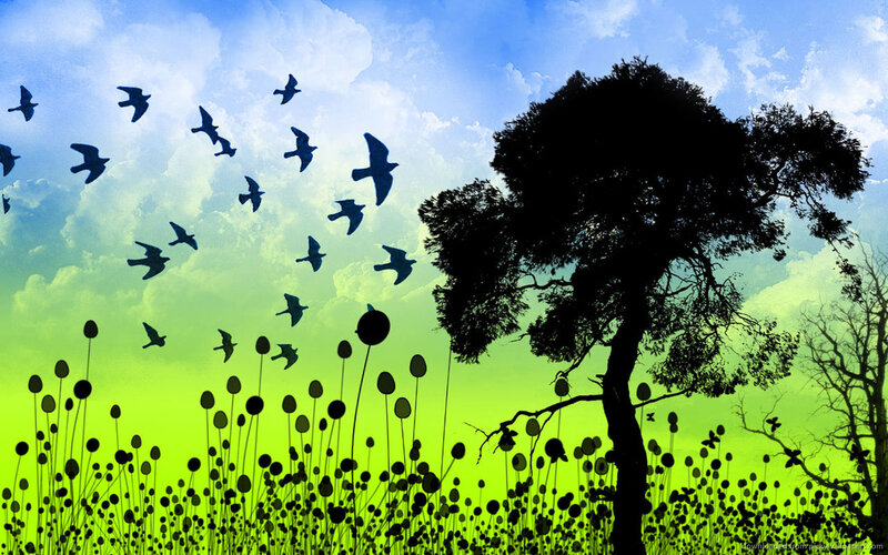 Silhouetted Birds Flying — Blue, Serene