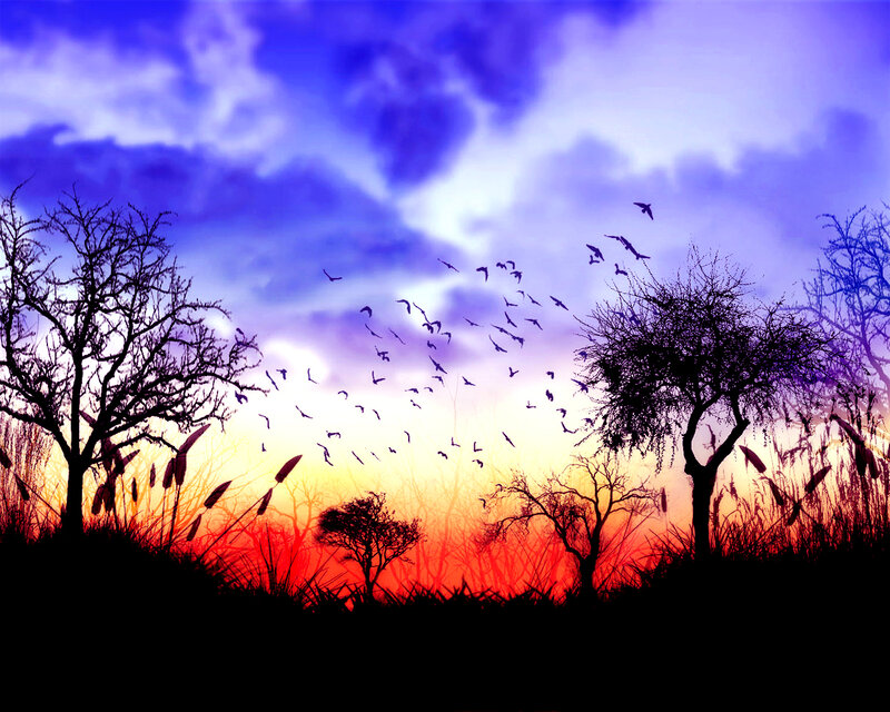 Silhouetted Birds Flying — Purple