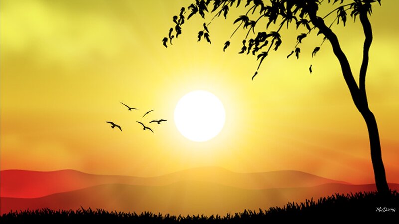 Silhouetted Birds Flying — Yellow