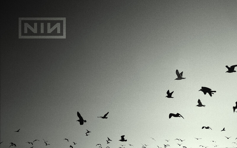 Silhouetted Birds in Flight — Black, Dramatic, Photograph, Sky